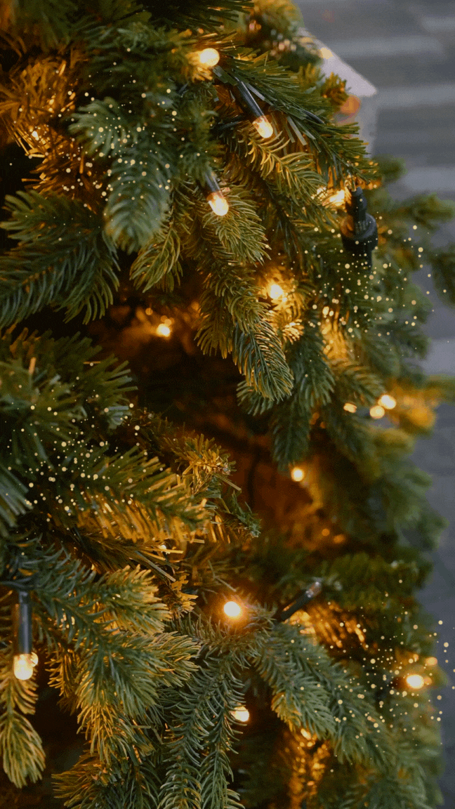 White and Black Elegant Classy Christmas Greetings Instagram Story-2